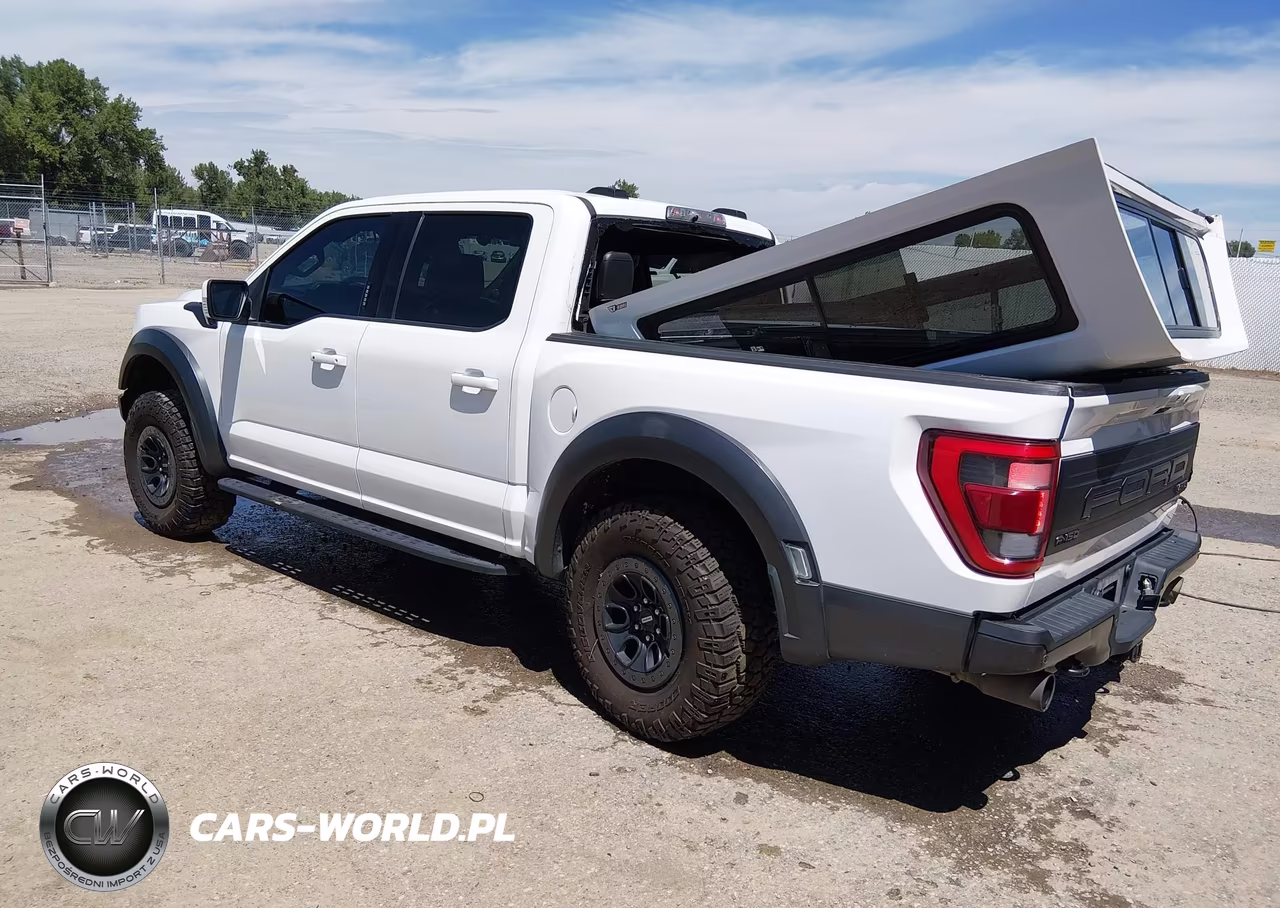 2023 Ford F-150 Raptor VIN:1FTFW1RGXPFA22139 - 3