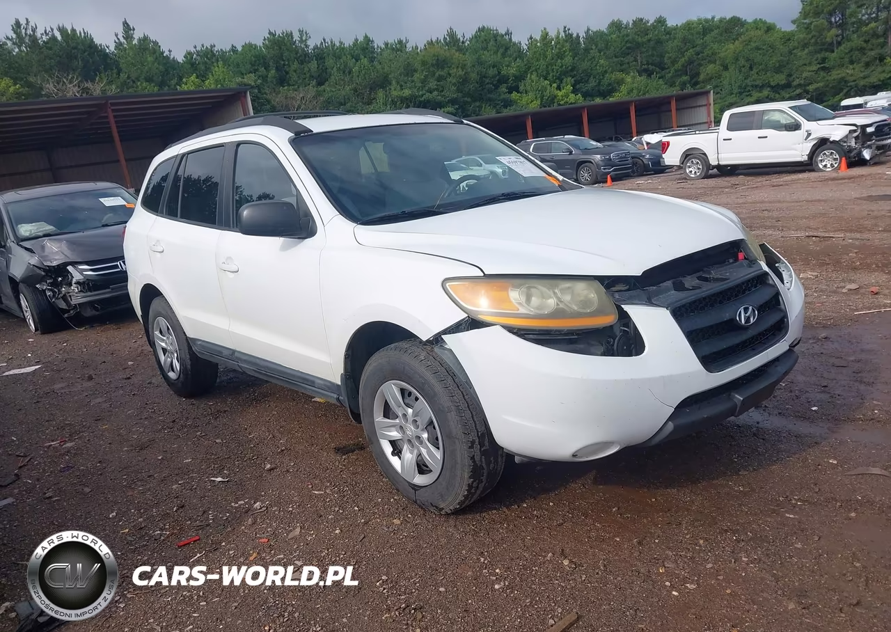 2009 Hyundai Santa Fe Gls