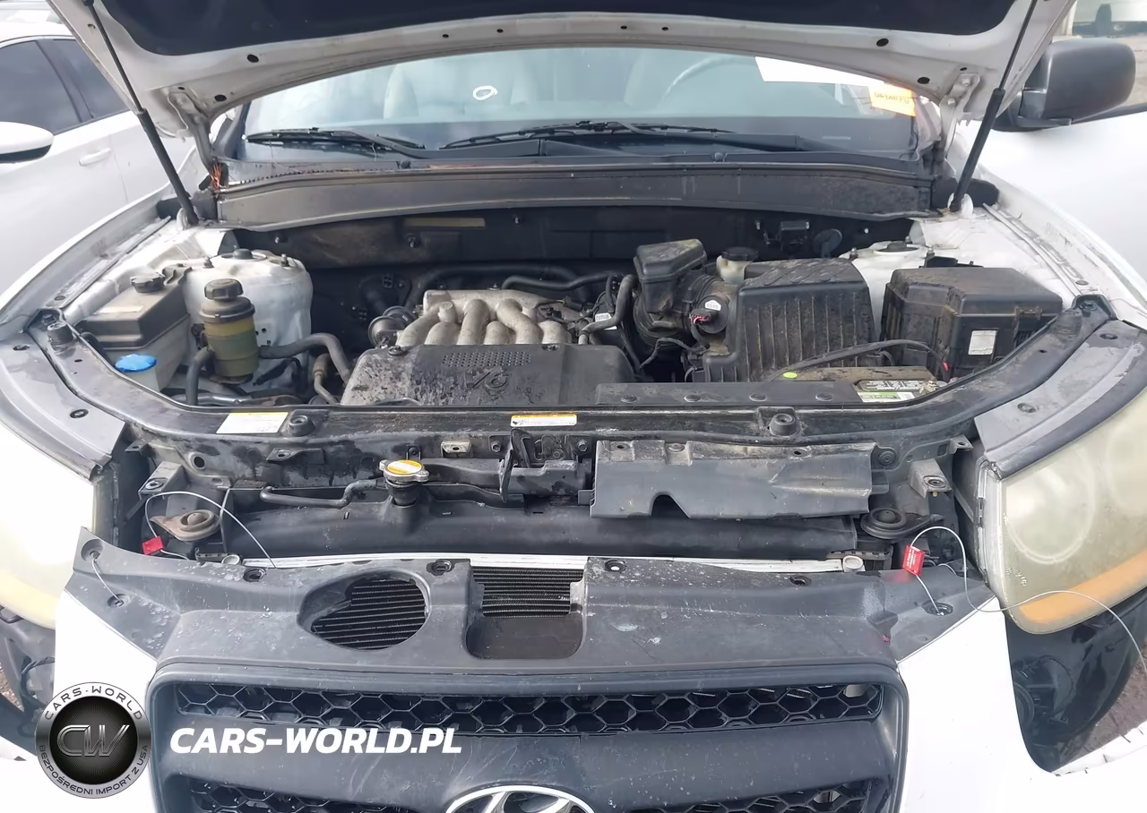 2009 Hyundai Santa Fe Gls VIN:5NMSG13DX9H277468 - 10