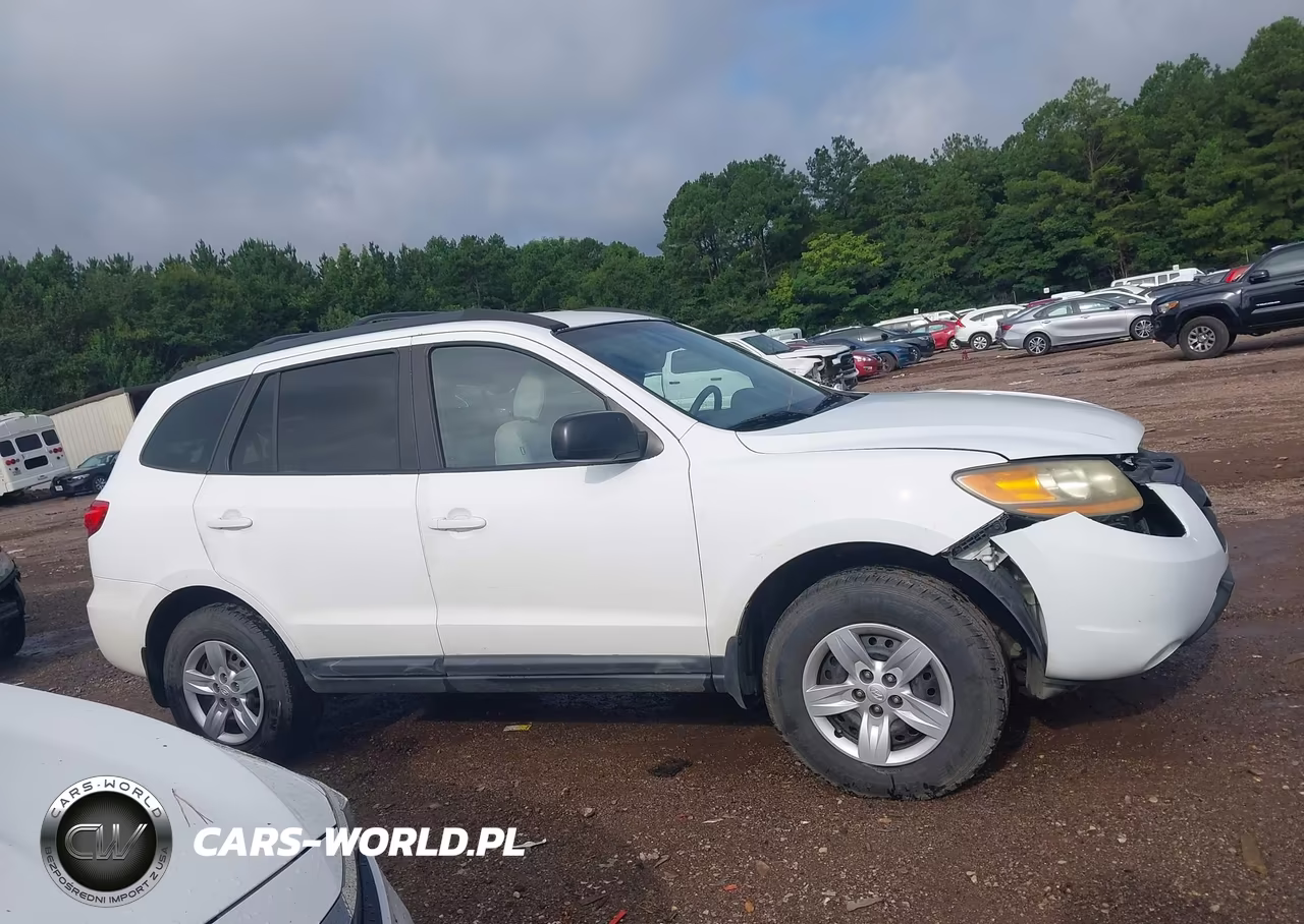 2009 Hyundai Santa Fe Gls VIN:5NMSG13DX9H277468 - 13