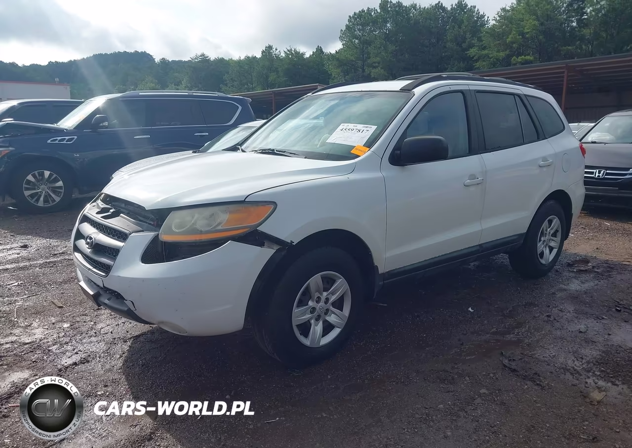 2009 Hyundai Santa Fe Gls VIN:5NMSG13DX9H277468 - 2