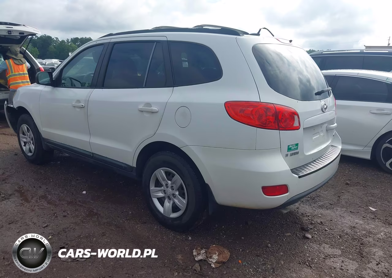 2009 Hyundai Santa Fe Gls VIN:5NMSG13DX9H277468 - 3