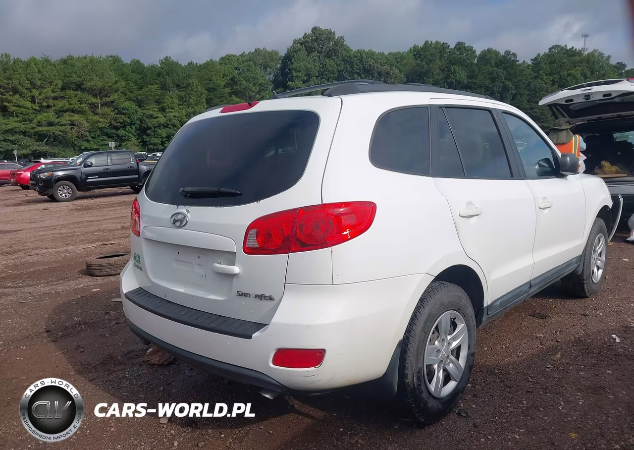 2009 Hyundai Santa Fe Gls VIN:5NMSG13DX9H277468 - 4