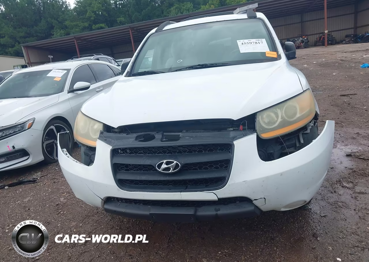 2009 Hyundai Santa Fe Gls VIN:5NMSG13DX9H277468 - 6