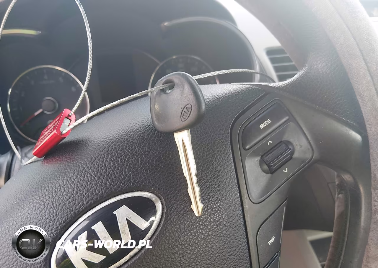 2014 Kia Forte Lx VIN:KNAFK4A60E5175869 - 11