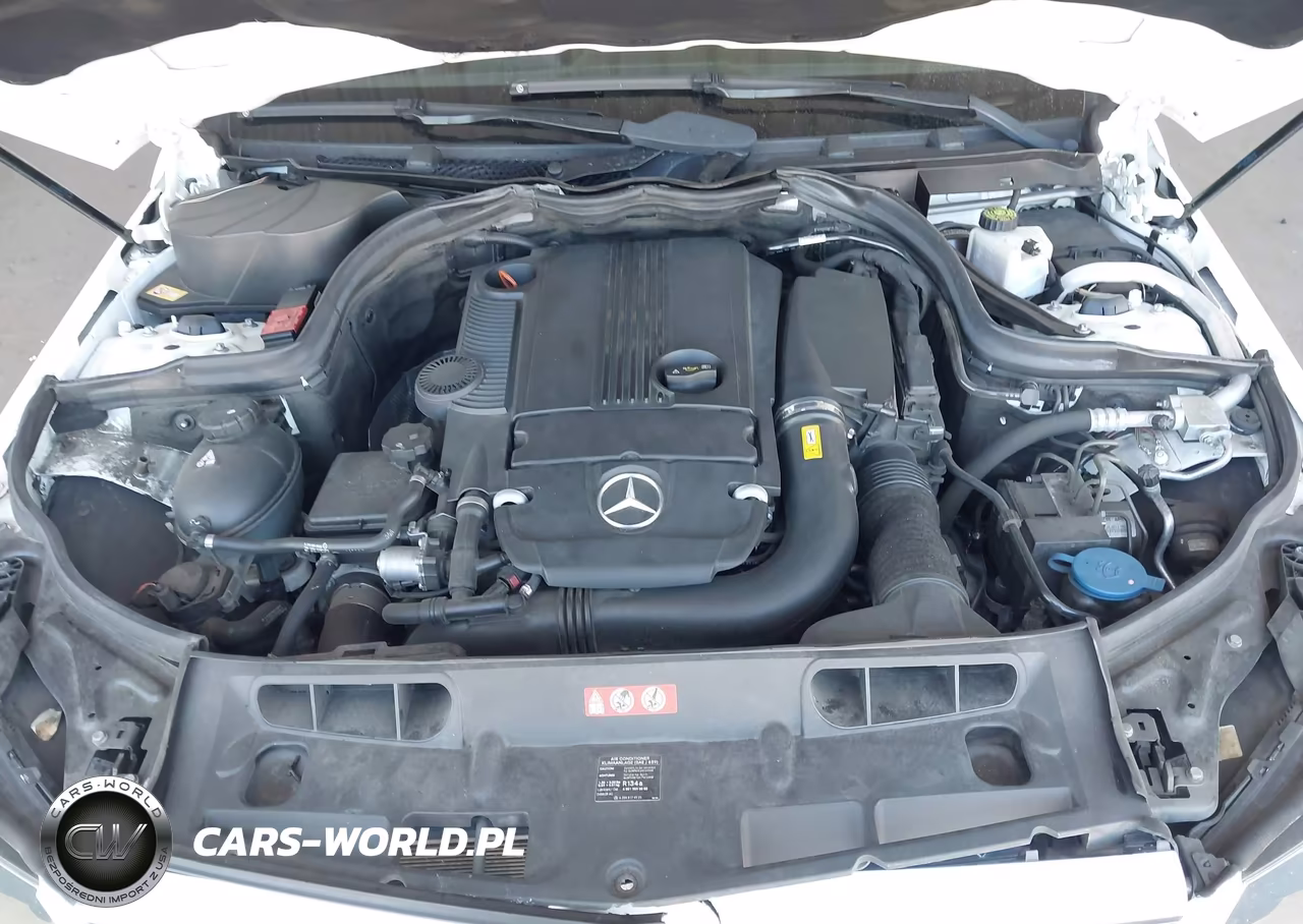 2013 Mercedes-Benz C 250 VIN:WDDGJ4HB5DF967043 - 10