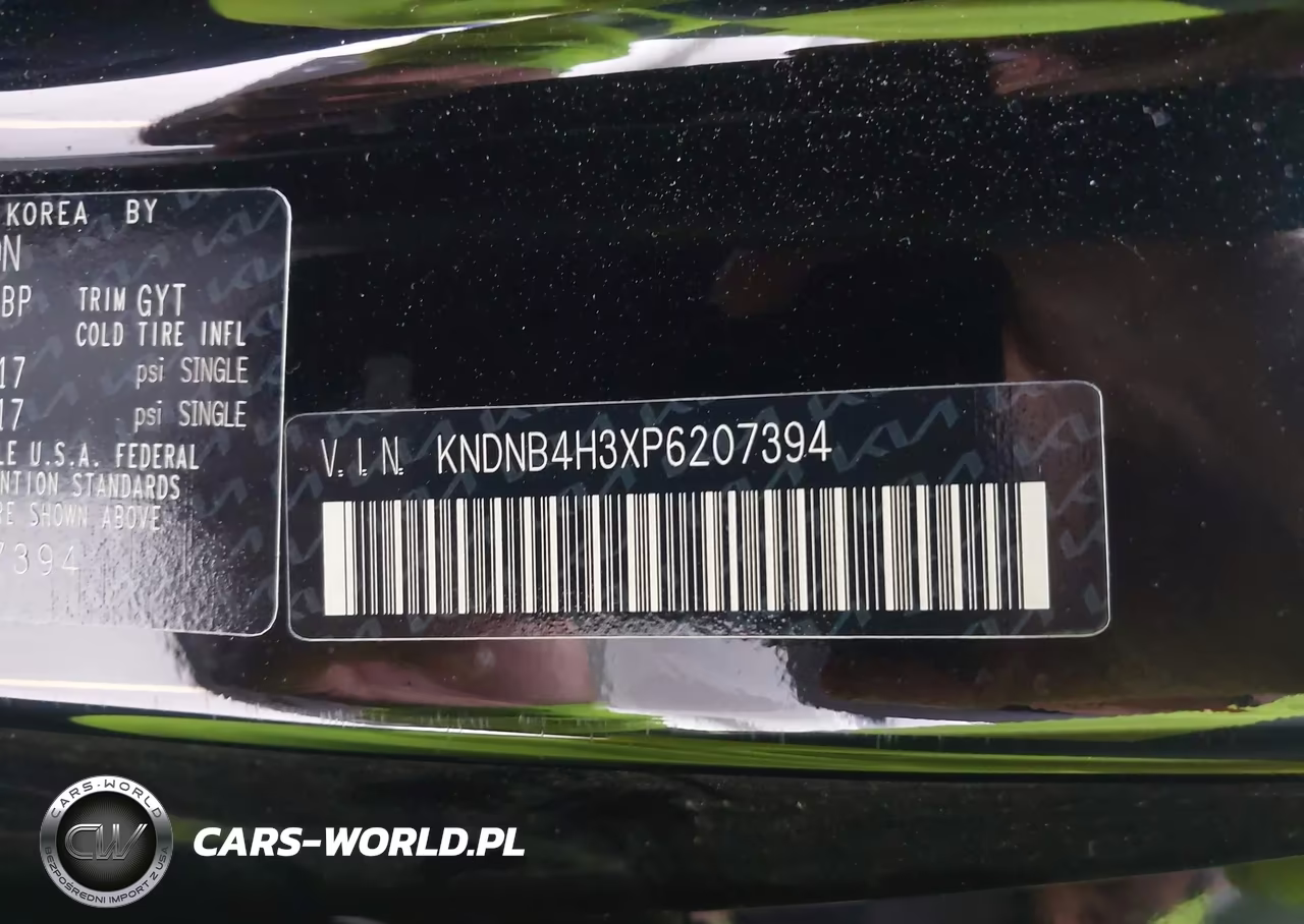 2023 Kia Carnival Mpv Lx Seat Package VIN:KNDNB4H3XP6207394 - 9