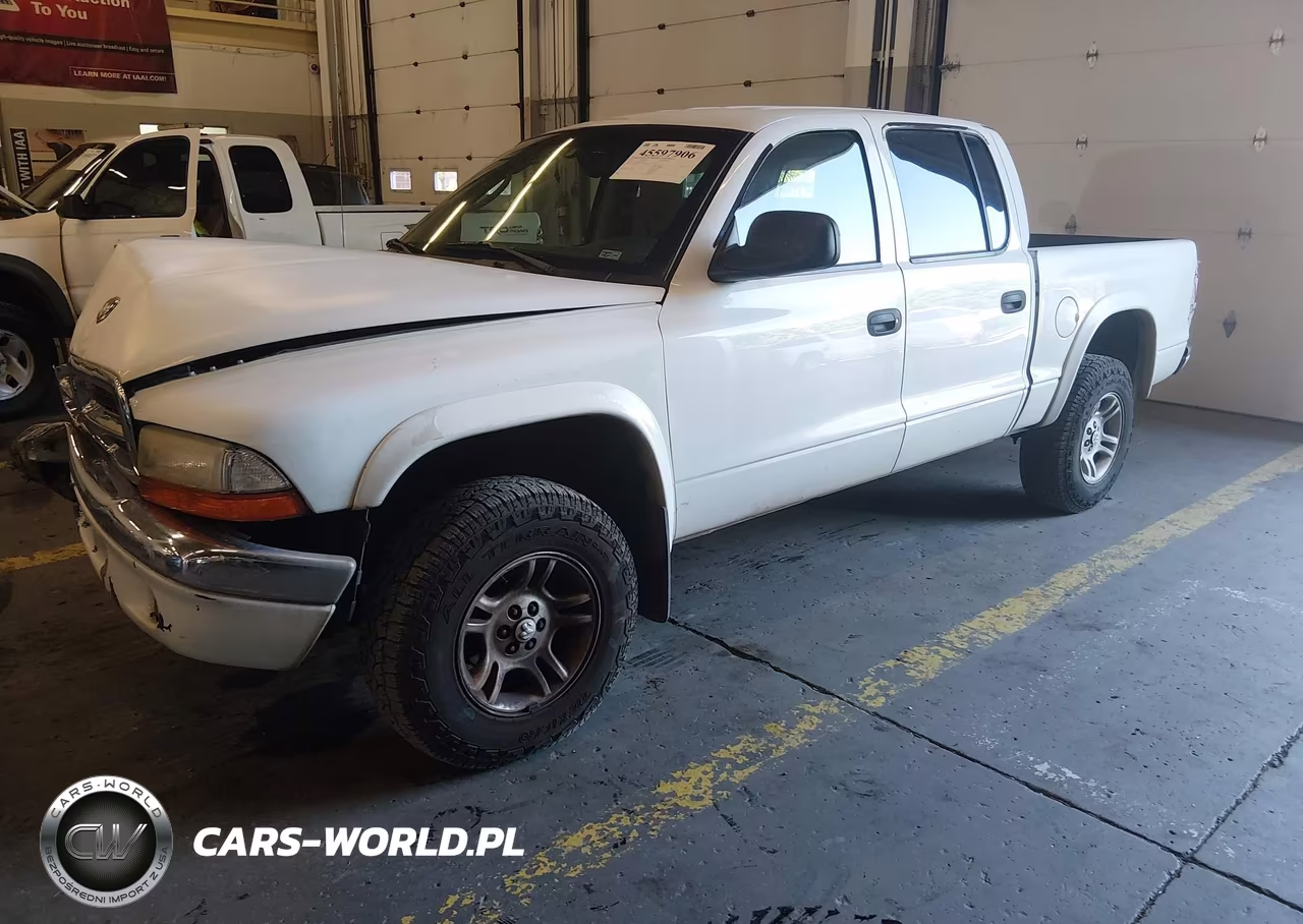 2002 Dodge Dakota Sport VIN:1B7HG38N82S562817 - 2