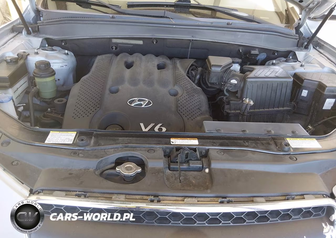 2007 Hyundai Santa Fe Gls VIN:5NMSG73D97H082123 - 10