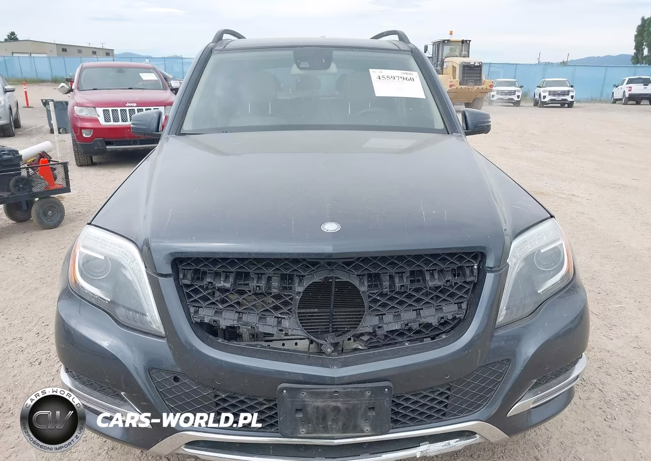 2014 Mercedes-Benz Glk 250 Bluetec 4Matic VIN:WDCGG0EB6EG188486 - 12