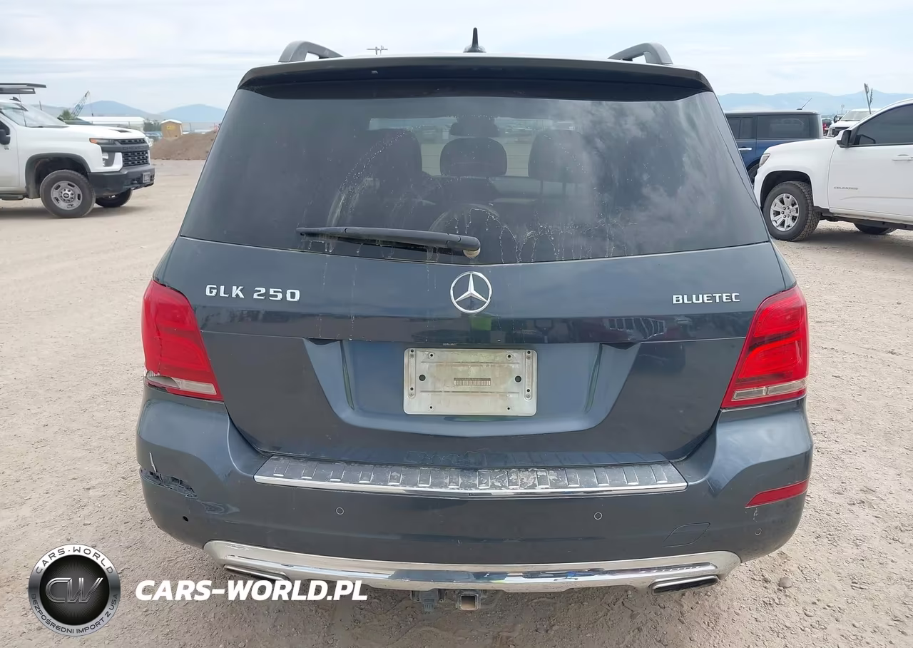 2014 Mercedes-Benz Glk 250 Bluetec 4Matic VIN:WDCGG0EB6EG188486 - 16