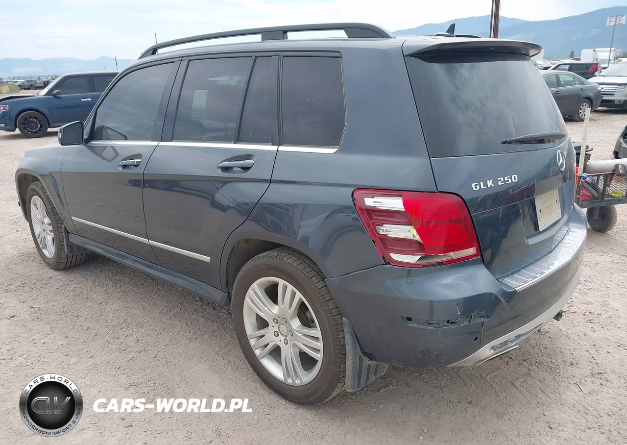 2014 Mercedes-Benz Glk 250 Bluetec 4Matic VIN:WDCGG0EB6EG188486 - 3