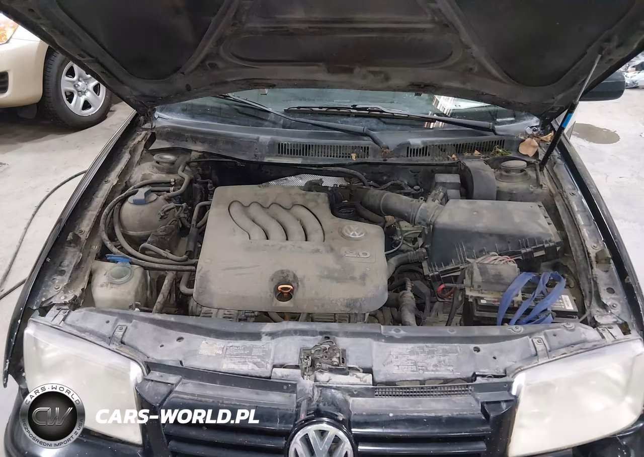 2001 Volkswagen Jetta Gl VIN:3VWRT29M41M019677 - 10