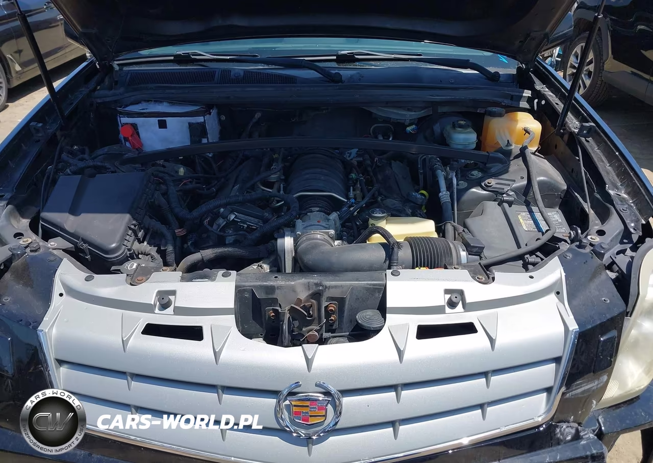 2005 Cadillac Srx V8 VIN:1GYEE63A450139211 - 10