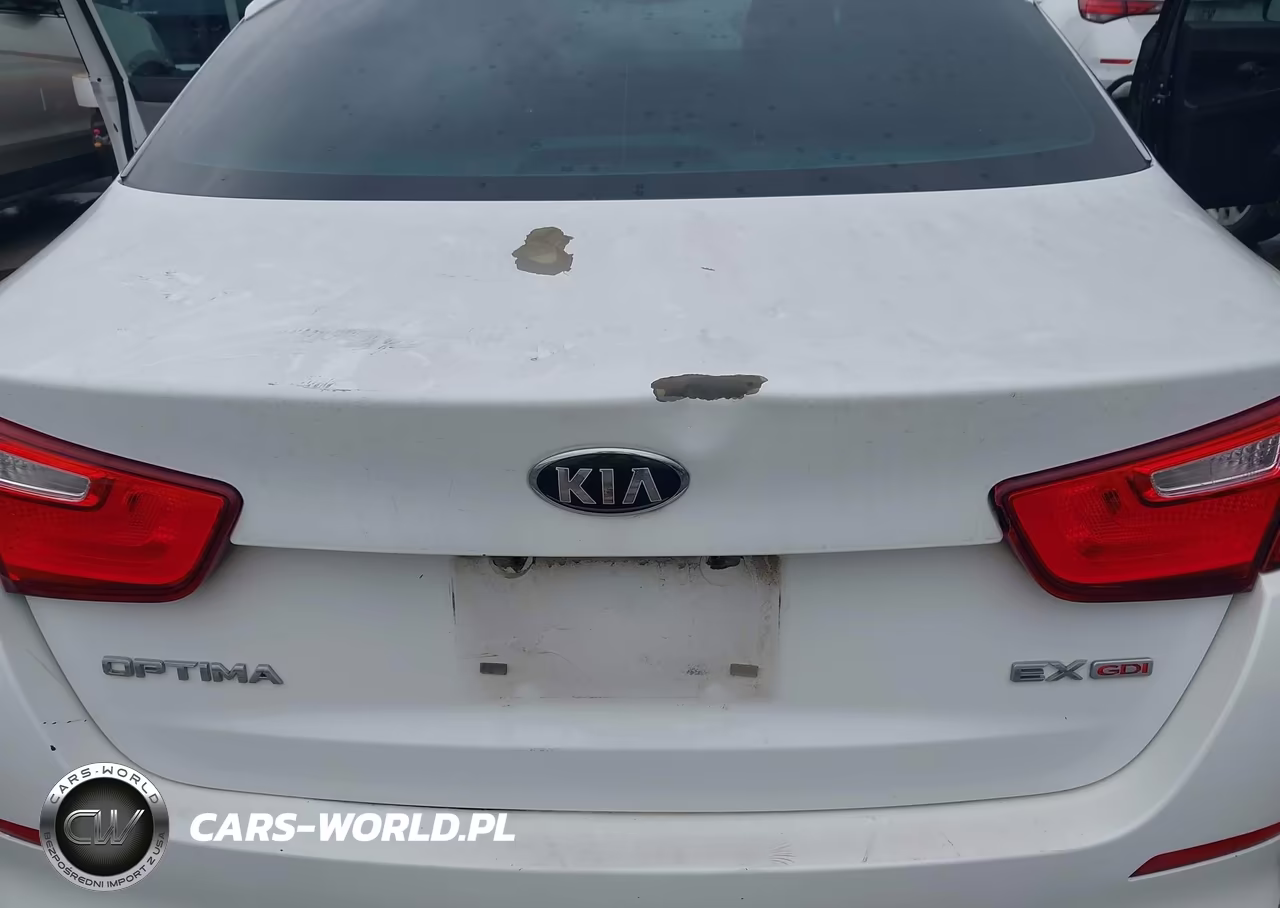 2015 Kia Optima Ex VIN:5XXGN4A79FG358692 - 12