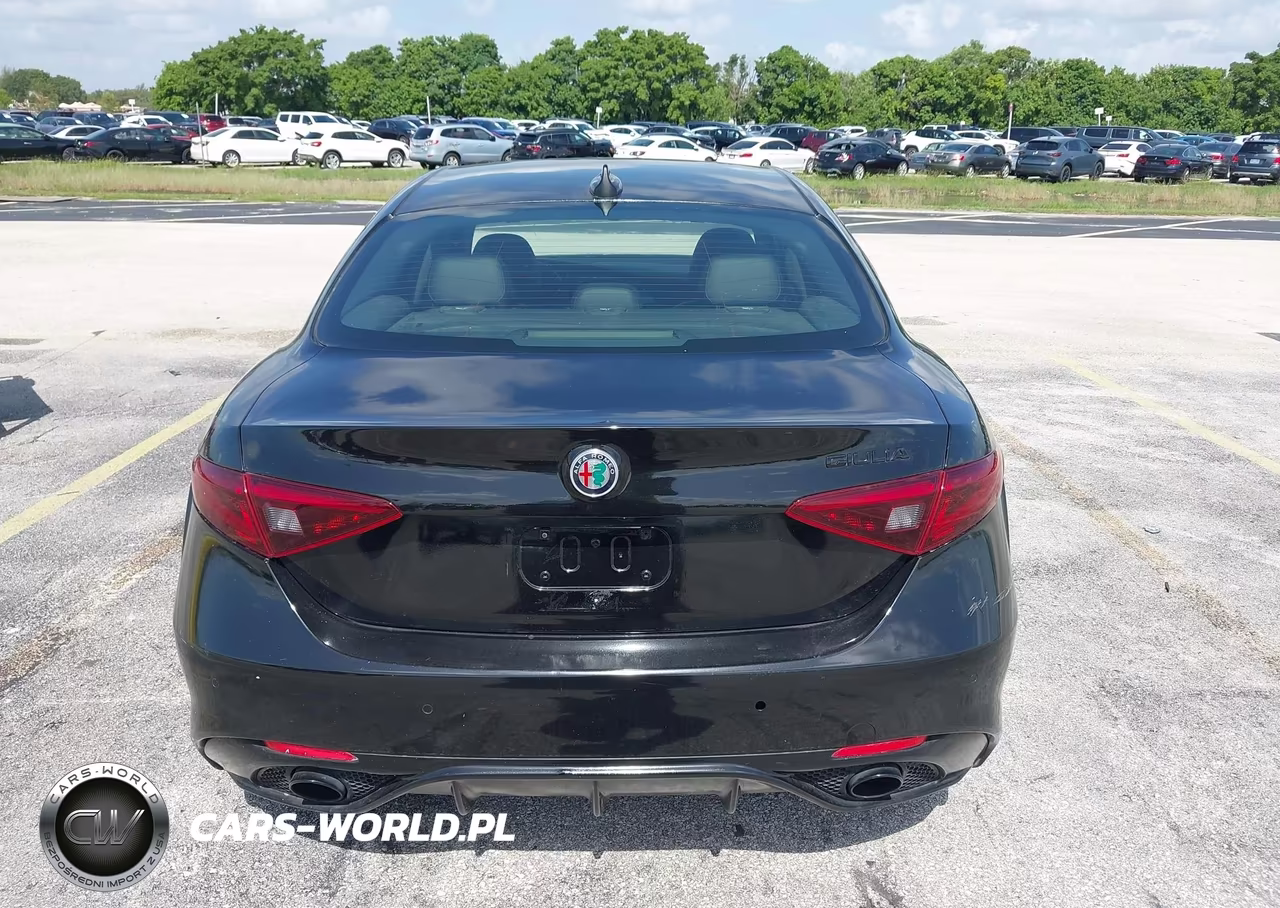 2018 Alfa Romeo Giulia Rwd VIN:ZARFAEBN1J7566504 - 16
