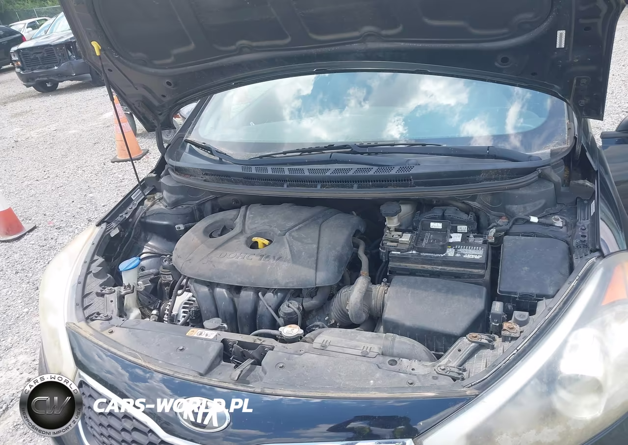2014 Kia Forte Lx VIN:KNAFX4A67E5166832 - 10