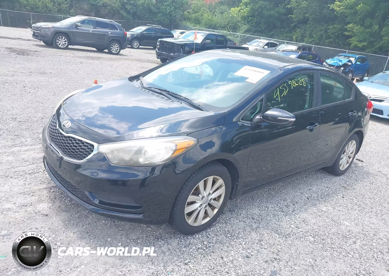 2014 Kia Forte Lx VIN:KNAFX4A67E5166832 - 2