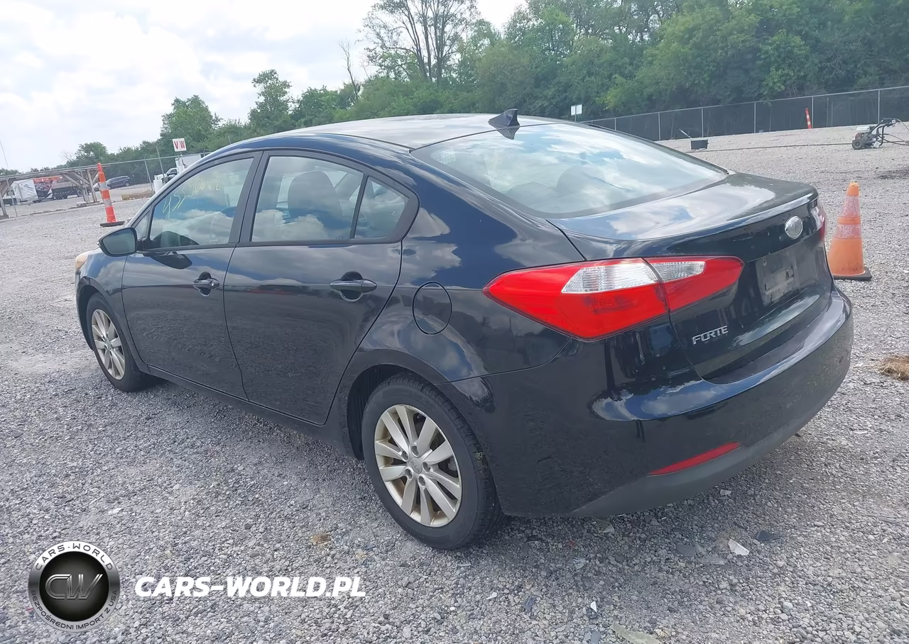 2014 Kia Forte Lx VIN:KNAFX4A67E5166832 - 3