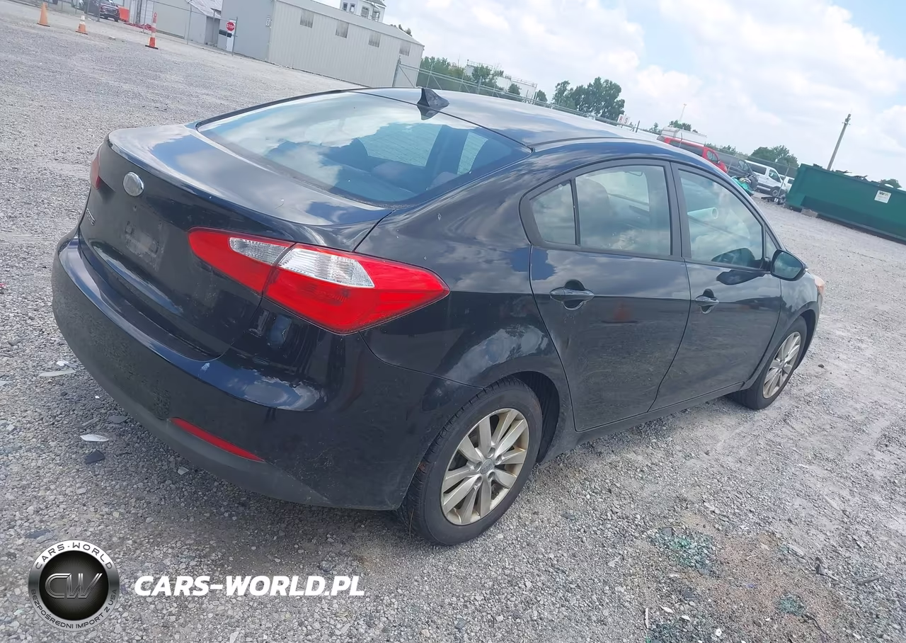 2014 Kia Forte Lx VIN:KNAFX4A67E5166832 - 4