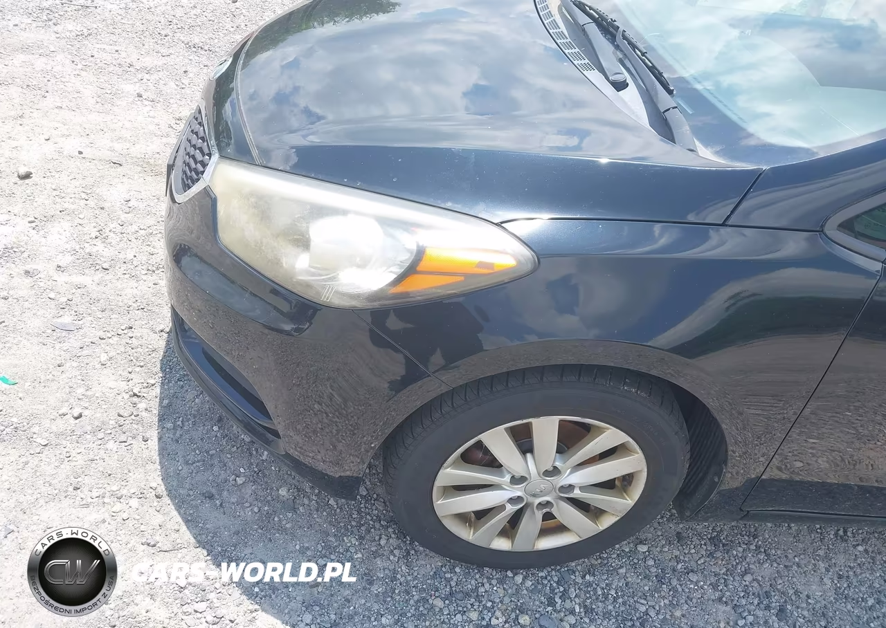 2014 Kia Forte Lx VIN:KNAFX4A67E5166832 - 6
