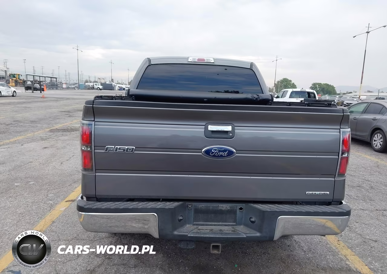 2013 Ford F-150 Xlt VIN:1FTFW1CF6DKD16947 - 17
