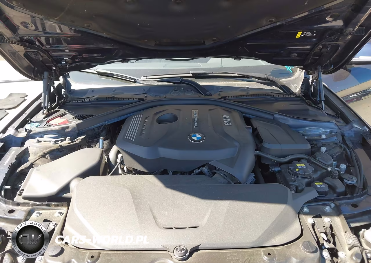 2018 BMW 430I Gran Coupe VIN:WBA4J1C59JBG79008 - 10