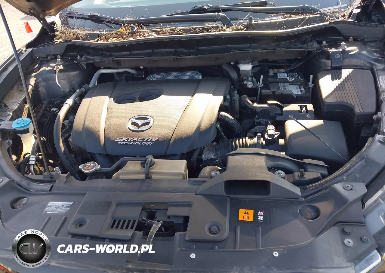 2014 Mazda Cx-5 Sport VIN:JM3KE2BE5E0365223 - 10