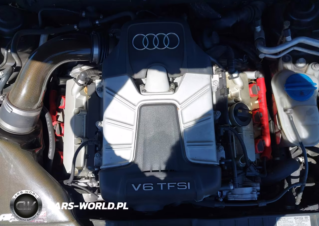 2010 Audi S4 3.0 Premium Plus VIN:WAUBGAFL5AA185232 - 10