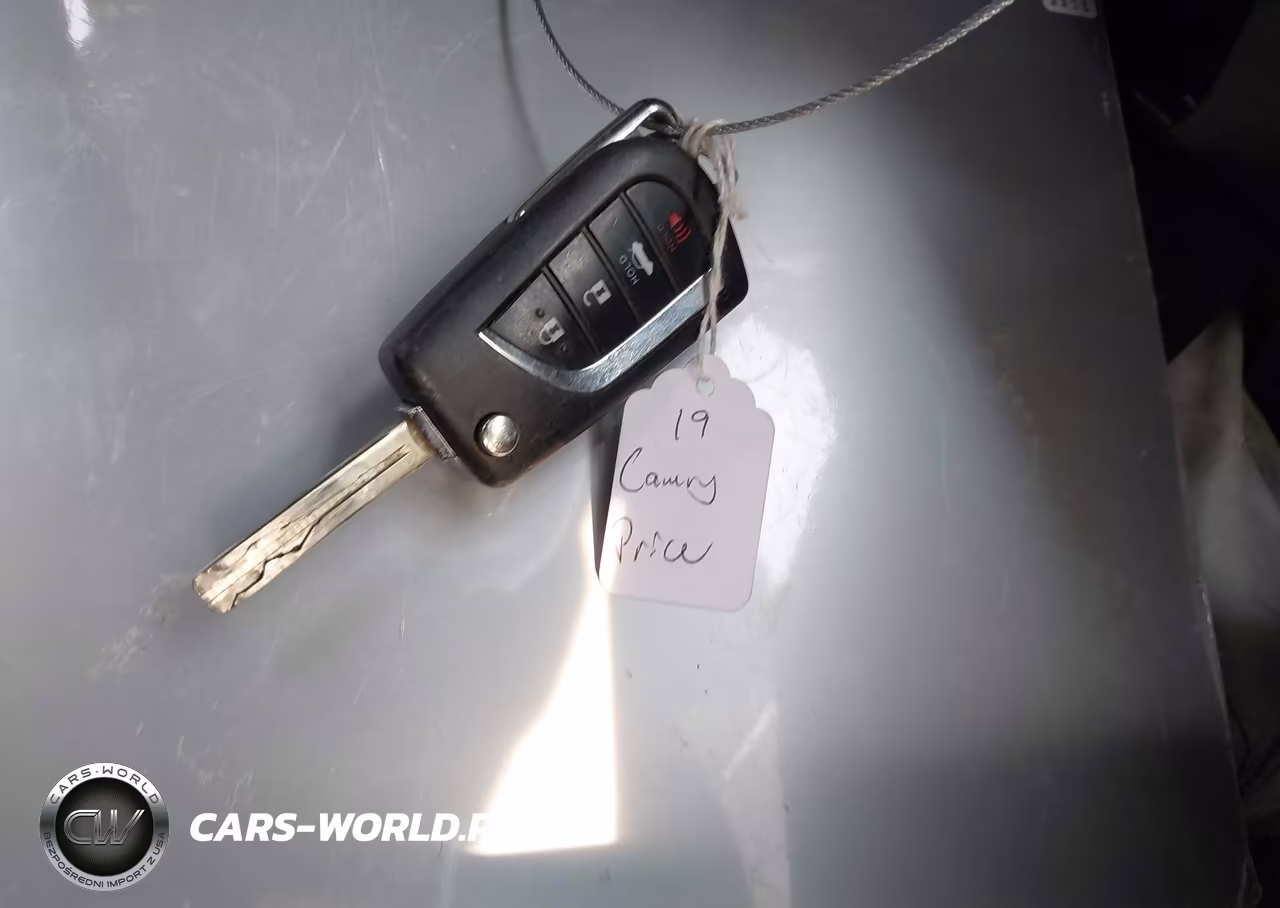 2019 Toyota Camry Se VIN:4T1B11HK1KU789235 - 11