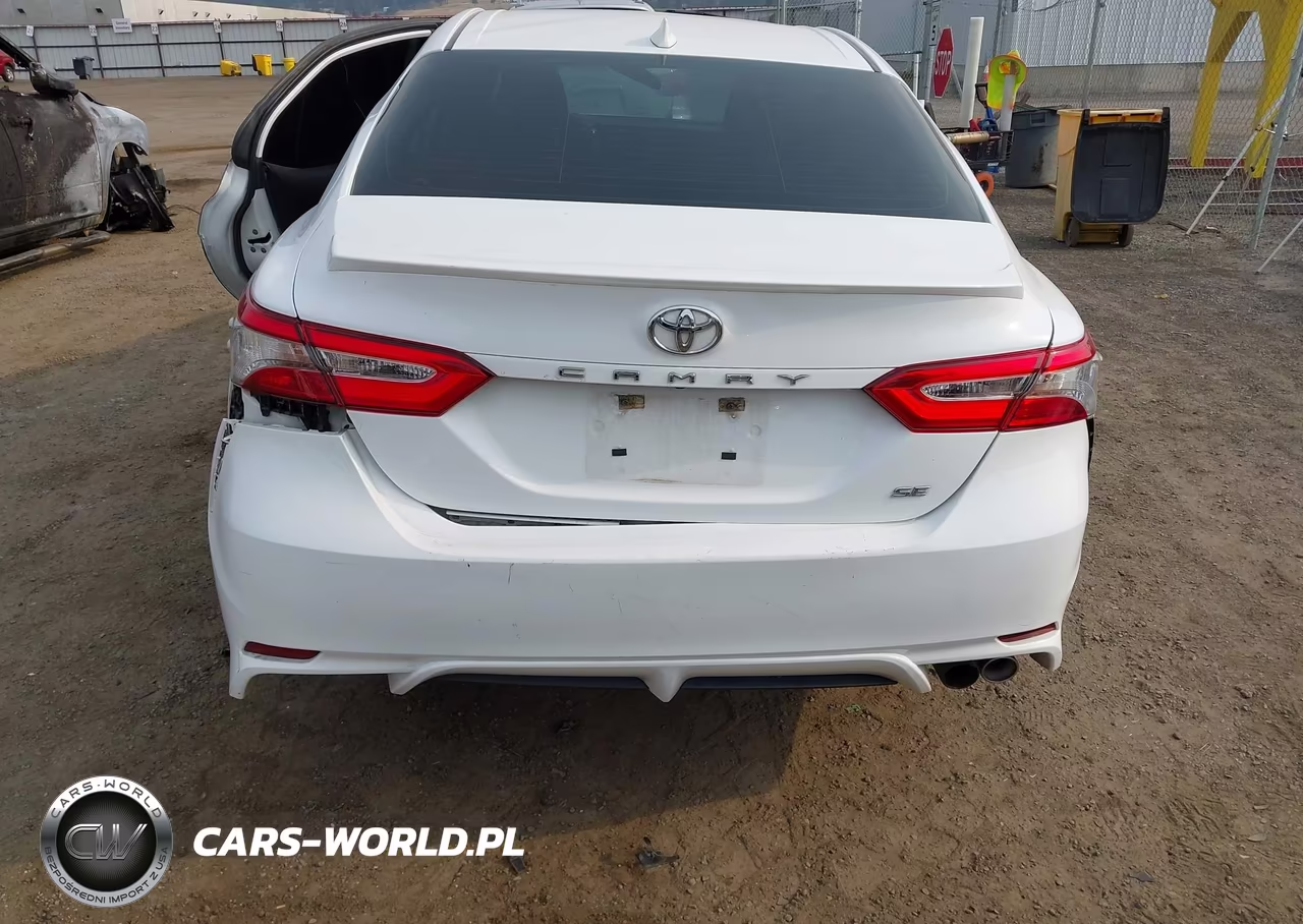 2019 Toyota Camry Se VIN:4T1B11HK1KU789235 - 19