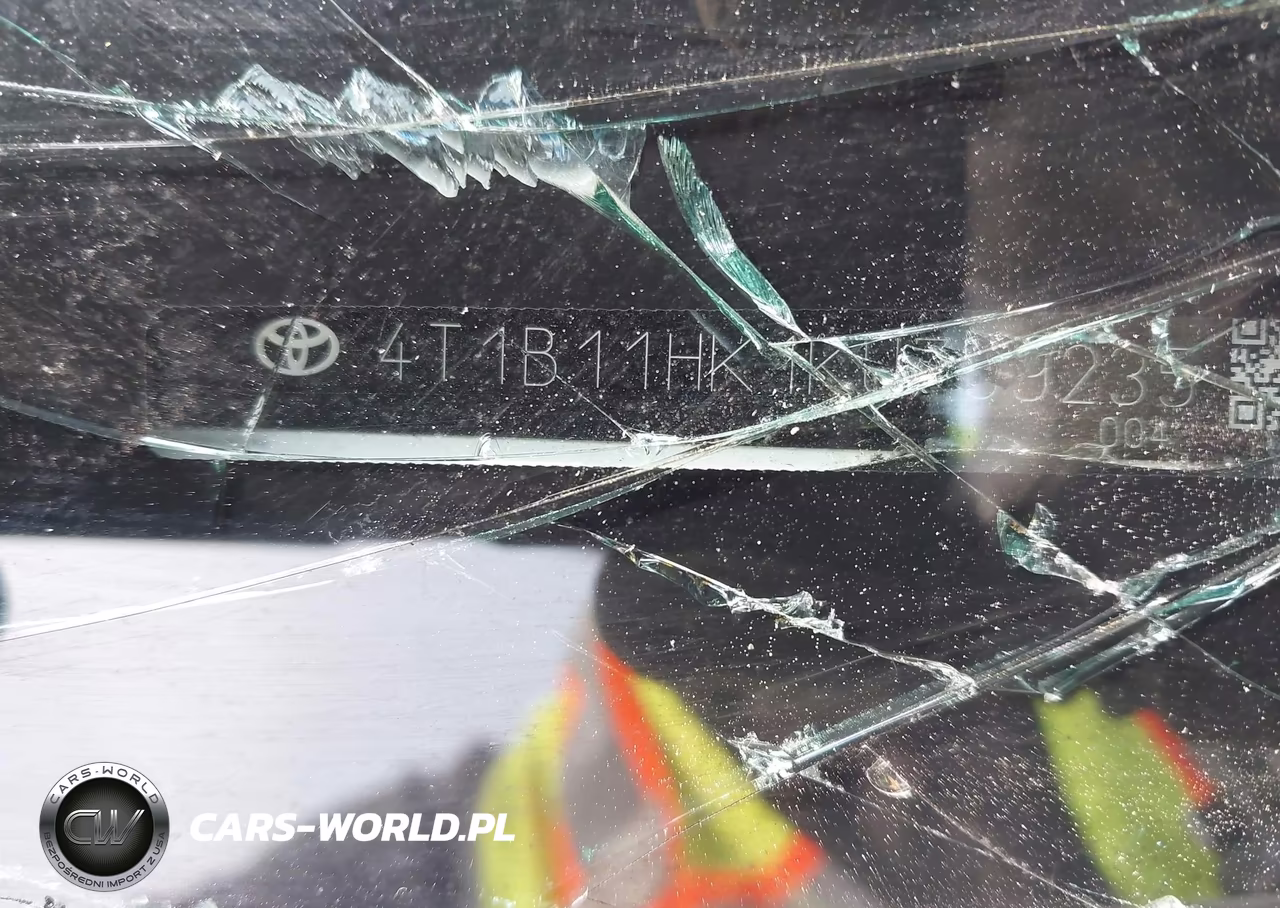 2019 Toyota Camry Se VIN:4T1B11HK1KU789235 - 9