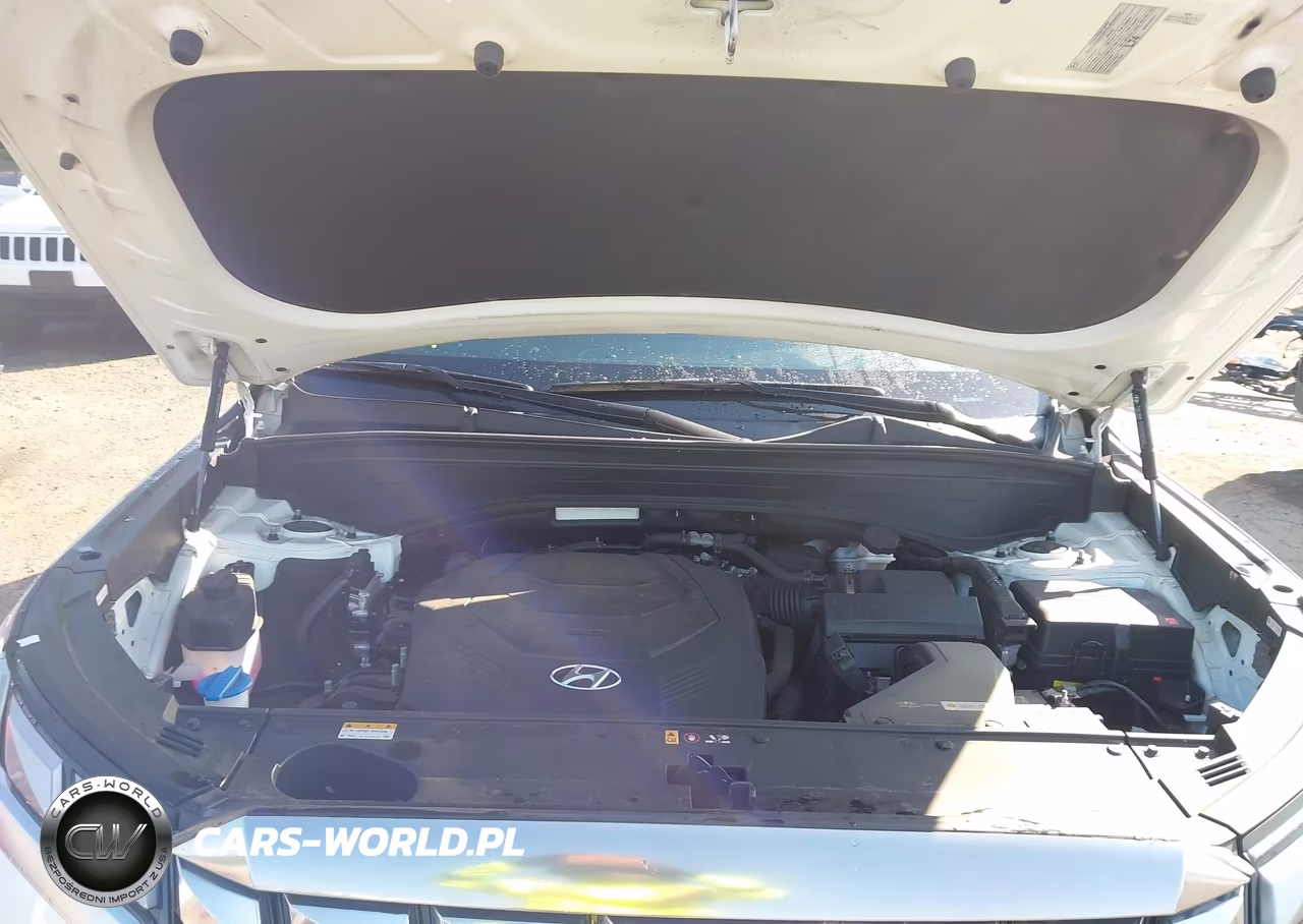 2024 Hyundai Palisade Calligraphy VIN:KM8R7DGE1RU730366 - 10