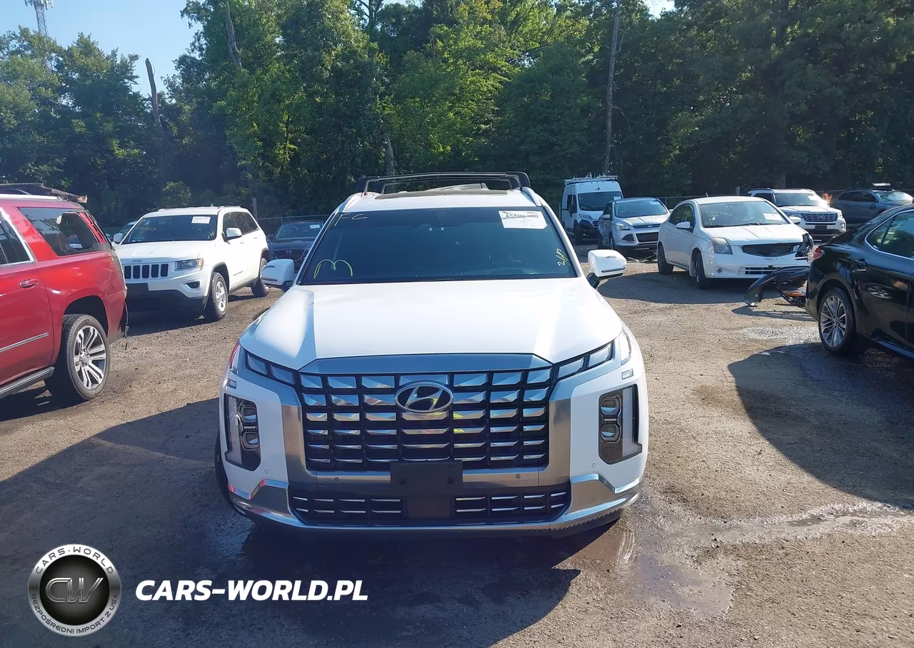 2024 Hyundai Palisade Calligraphy VIN:KM8R7DGE1RU730366 - 12