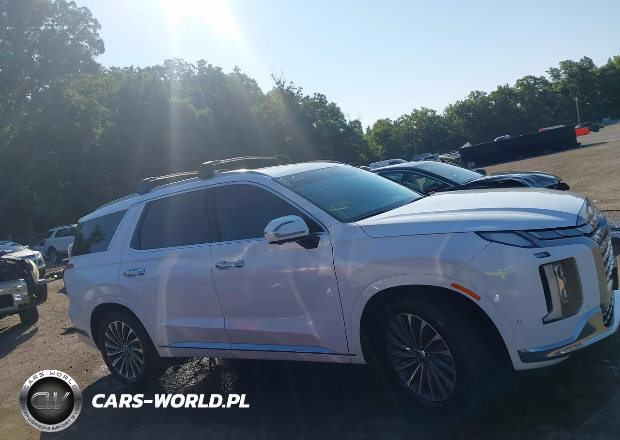 2024 Hyundai Palisade Calligraphy VIN:KM8R7DGE1RU730366 - 13