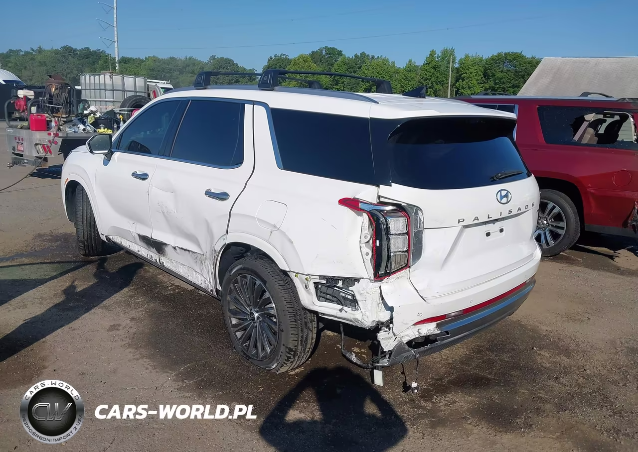 2024 Hyundai Palisade Calligraphy VIN:KM8R7DGE1RU730366 - 3