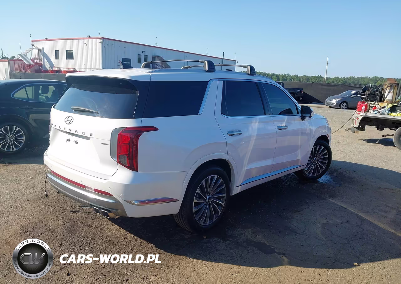 2024 Hyundai Palisade Calligraphy VIN:KM8R7DGE1RU730366 - 4