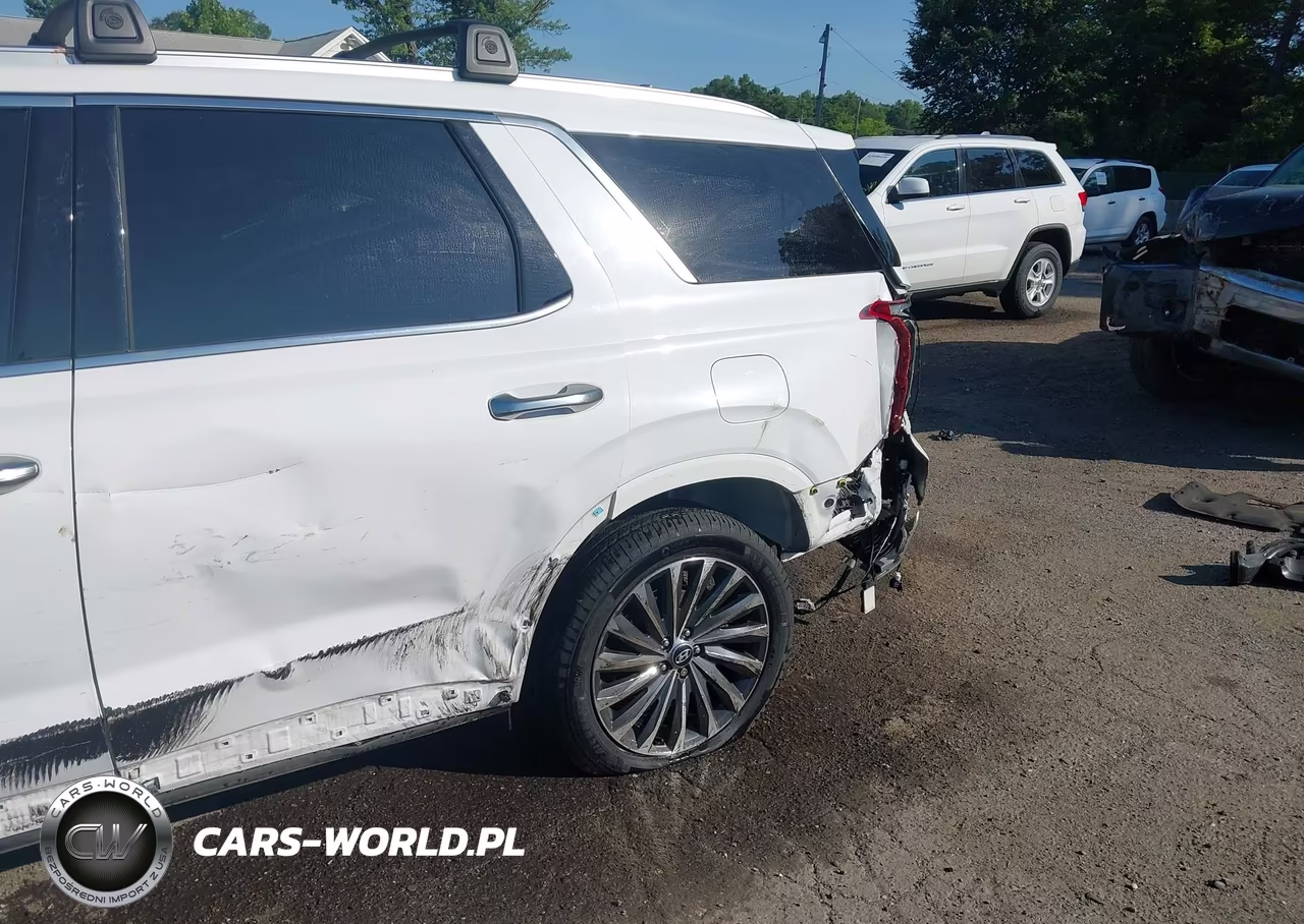 2024 Hyundai Palisade Calligraphy VIN:KM8R7DGE1RU730366 - 6