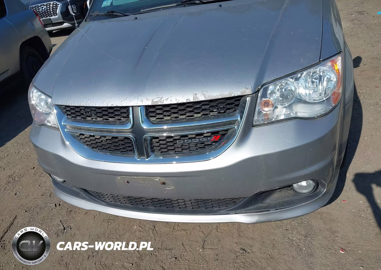 2017 Dodge Grand Caravan Sxt VIN:2C4RDGCG5HR824526 - 12