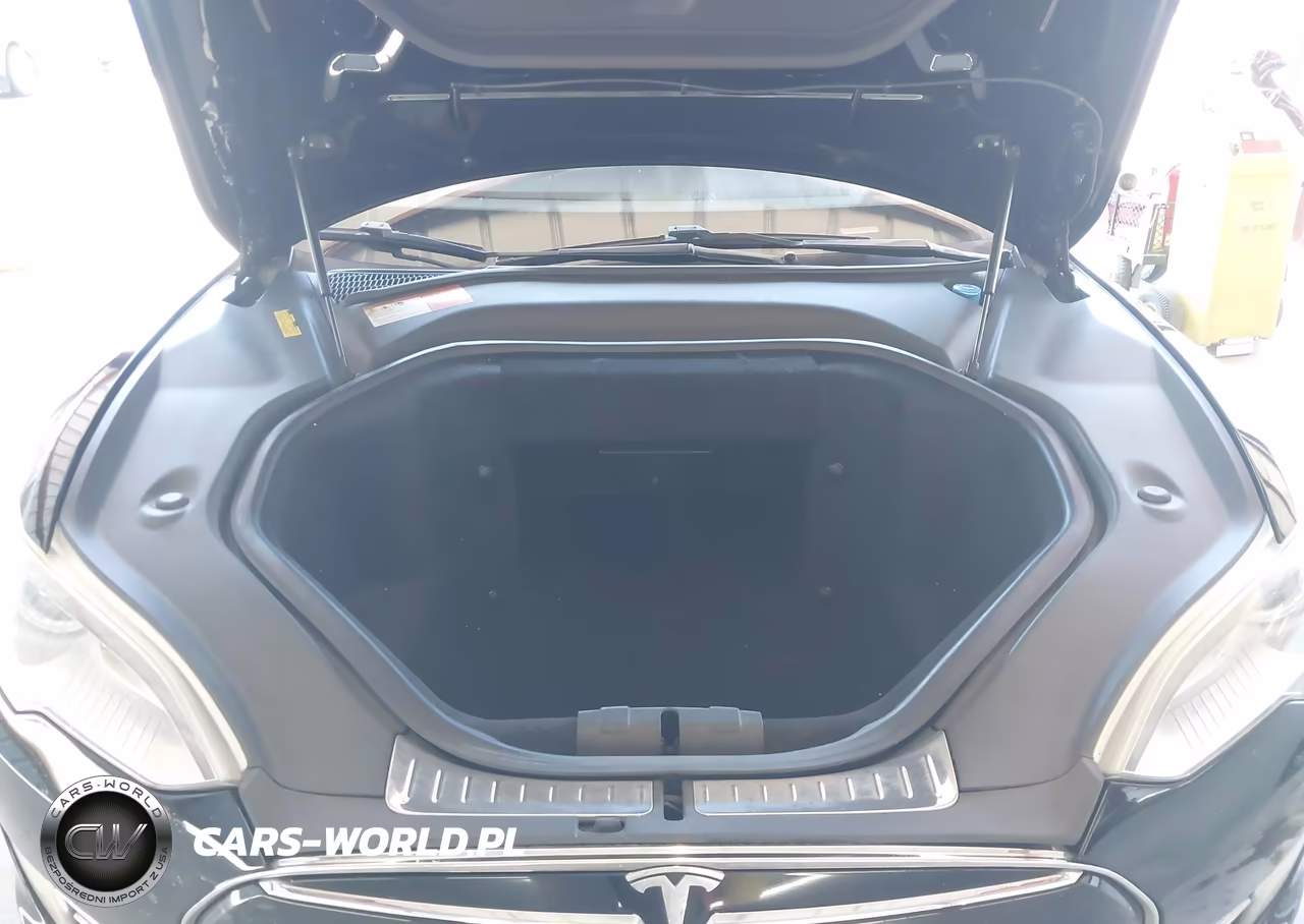 2013 Tesla Model S VIN:5YJSA1CGXDFP12933 - 10