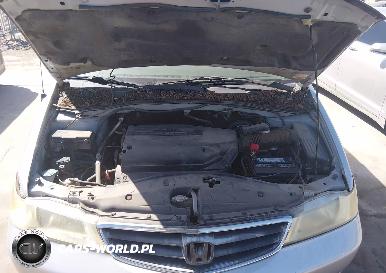 2002 Honda Odyssey Ex VIN:5FNRL18652B031293 - 10