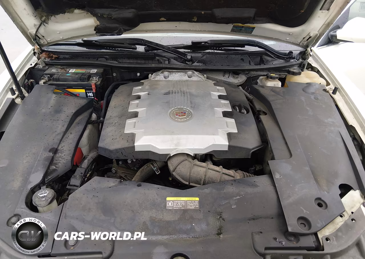 2009 Cadillac Sts Rwd W-1Sb VIN:1G6DK67V090102981 - 10