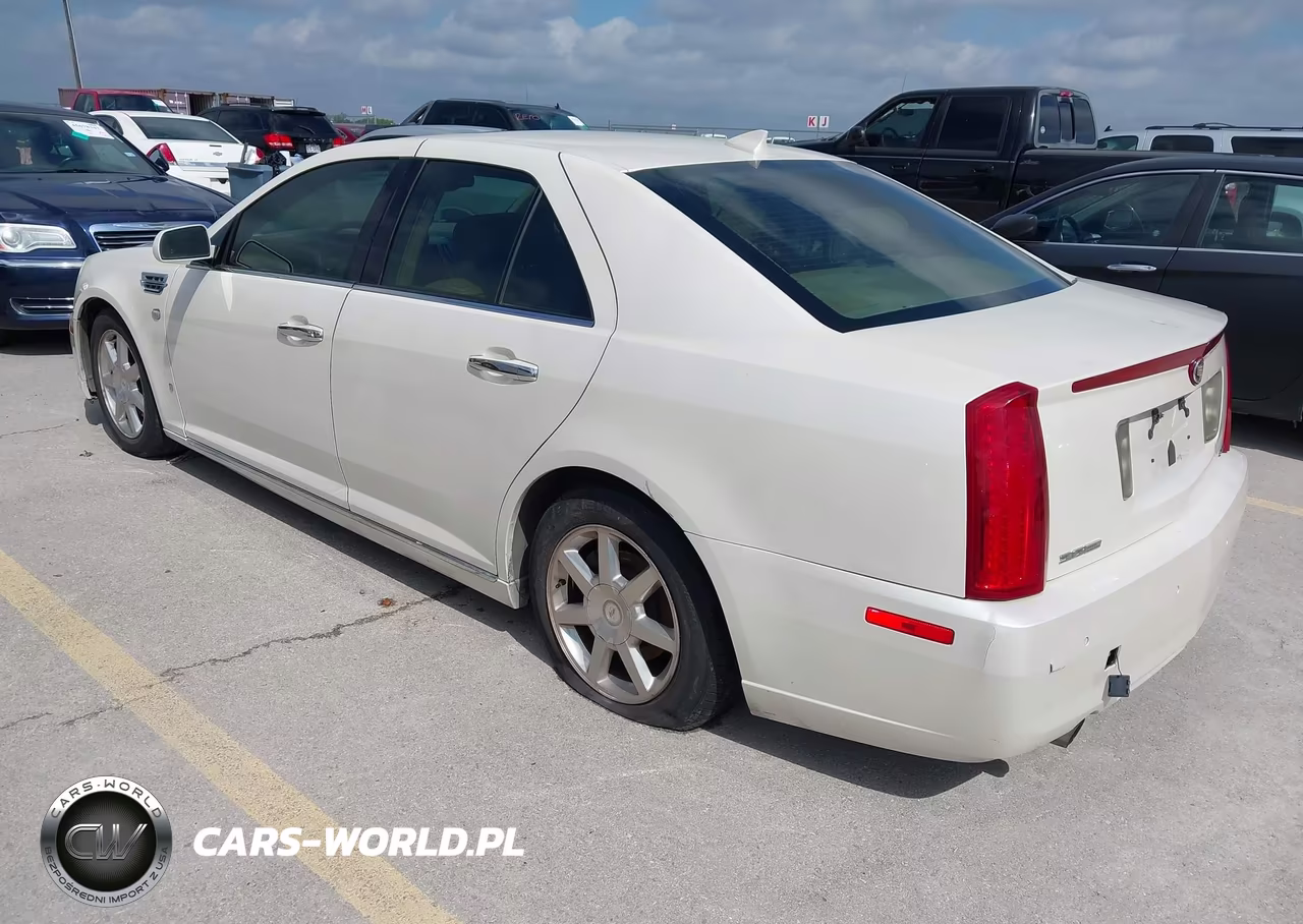 2009 Cadillac Sts Rwd W-1Sb VIN:1G6DK67V090102981 - 3