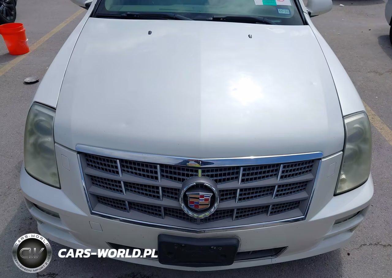 2009 Cadillac Sts Rwd W-1Sb VIN:1G6DK67V090102981 - 6