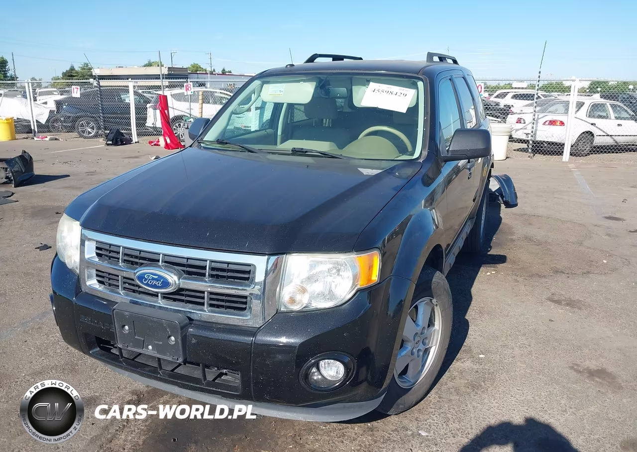 2011 Ford Escape Xlt VIN:1FMCU0D77BKB65586 - 2