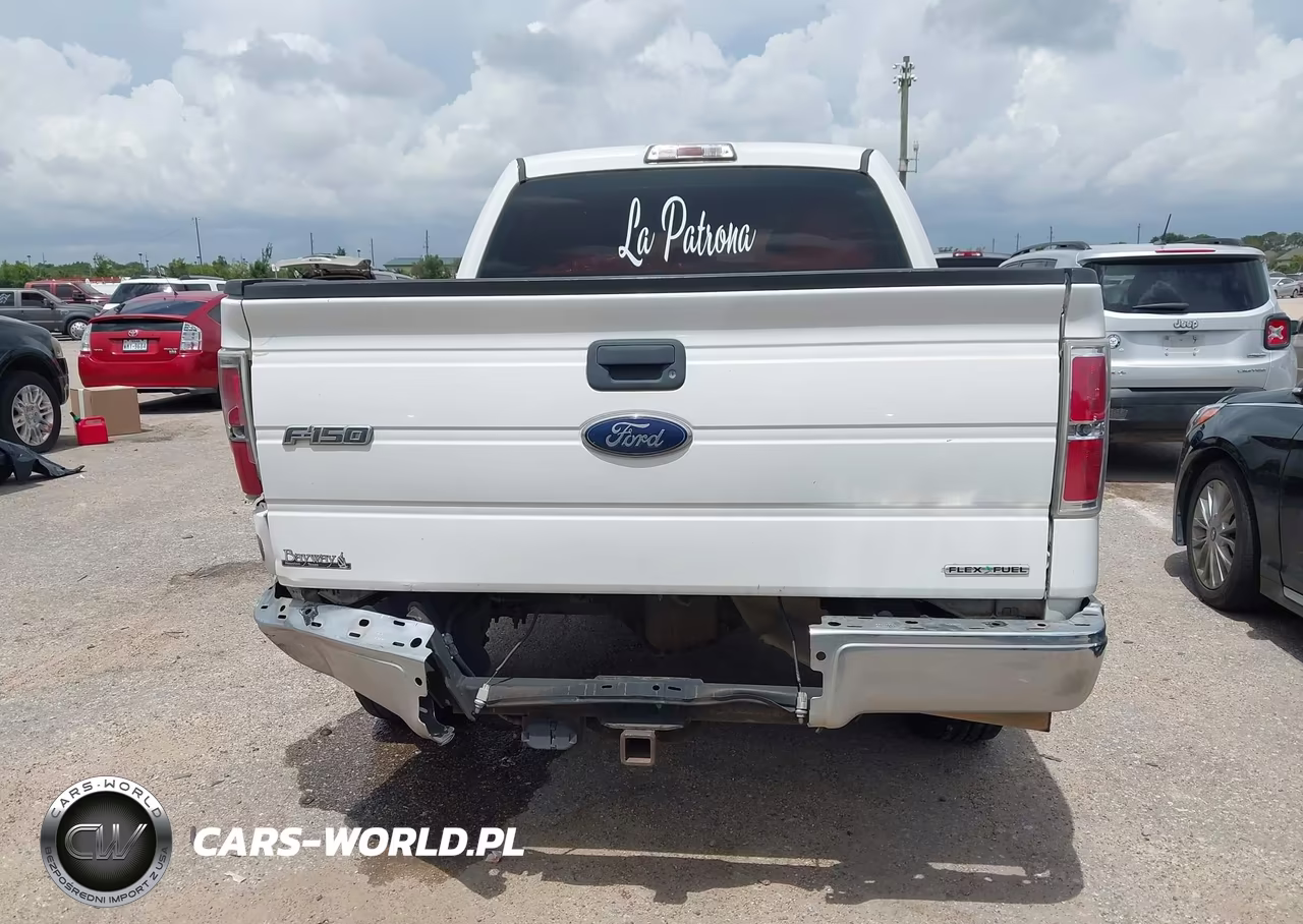 2013 Ford F-150 Fx2-King Ranch-Lariat-Platinum-Xl-Xlt VIN:1FTFW1CF7DKD97084 - 16
