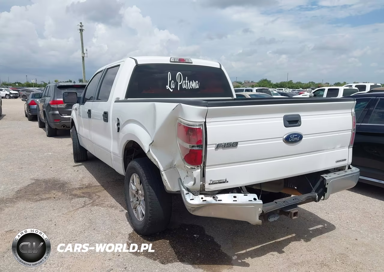 2013 Ford F-150 Fx2-King Ranch-Lariat-Platinum-Xl-Xlt VIN:1FTFW1CF7DKD97084 - 3