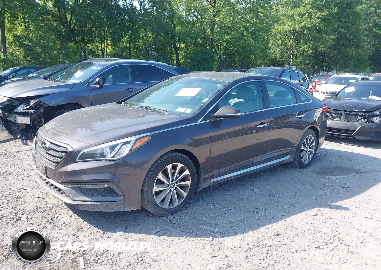 2015 Hyundai Sonata Sport VIN:5NPE34AFXFH115935 - 2