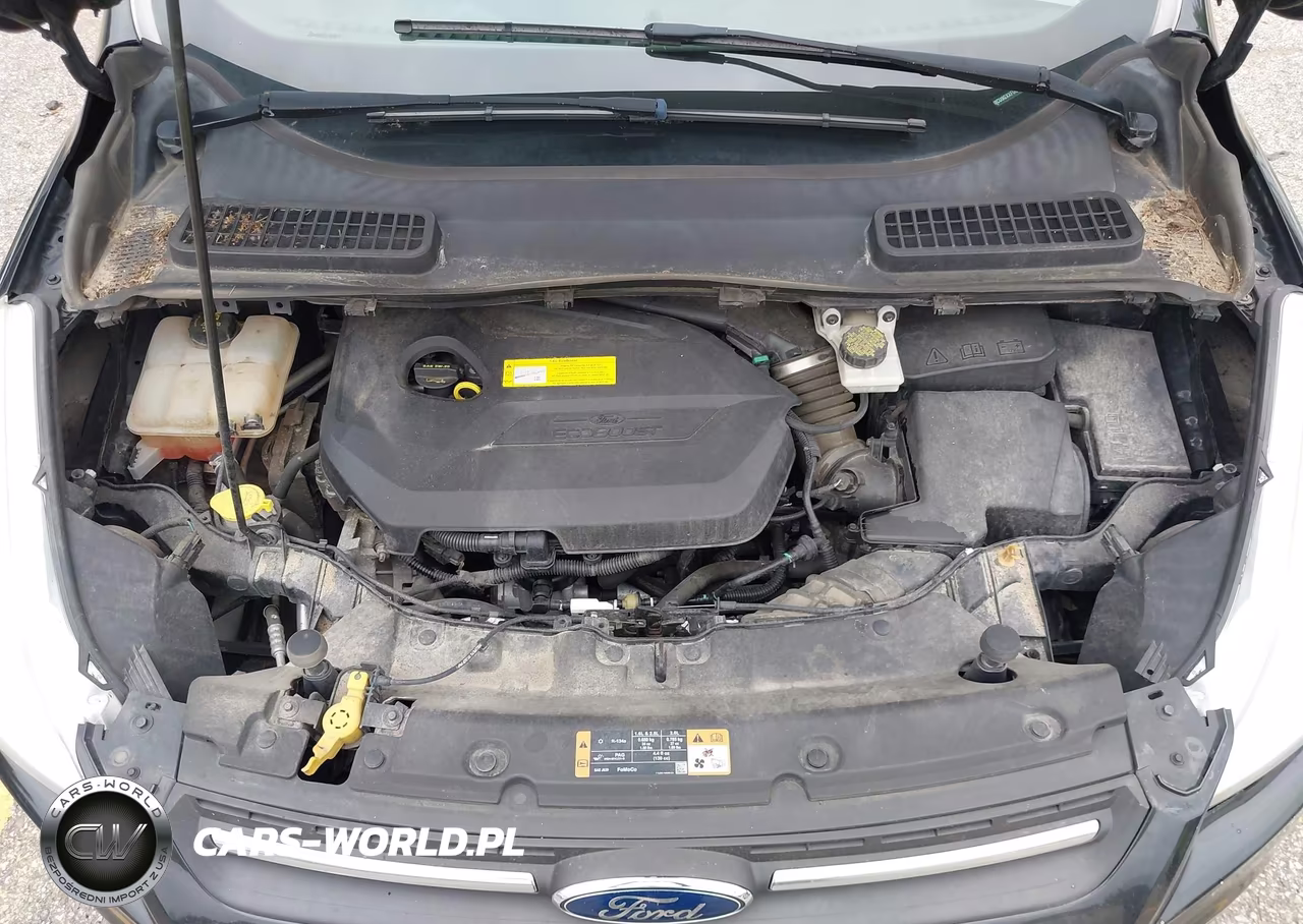 2015 Ford Escape Se VIN:1FMCU9GXXFUC60900 - 10