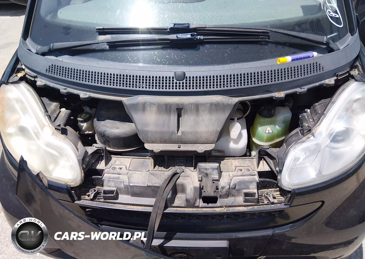 2009 Smart Fortwo Brabus-Passion-Pure VIN:WMEEJ31X09K322253 - 10